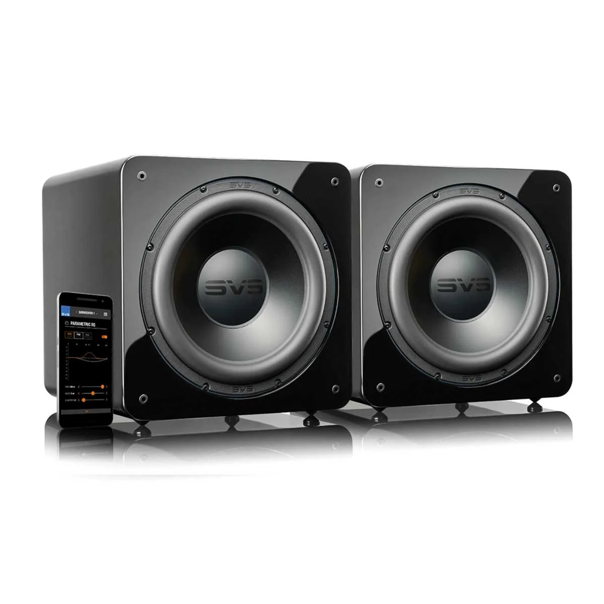 SVS Dual SB-2000 Pro Subwoofer - Image 10